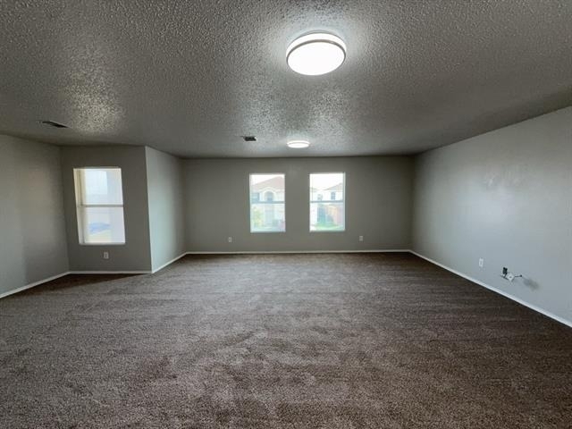 3952 Golden Horn Lane - Photo 23
