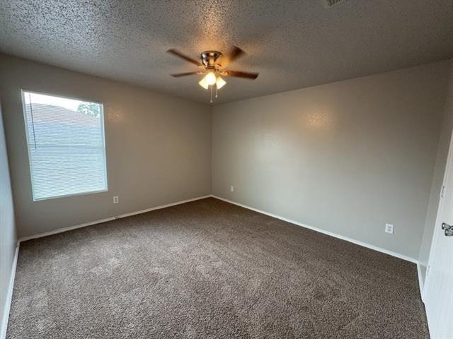 3952 Golden Horn Lane - Photo 12