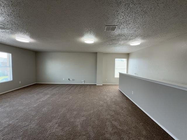 3952 Golden Horn Lane - Photo 21
