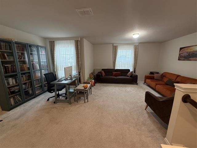 909 Cormorant Street - Photo 15