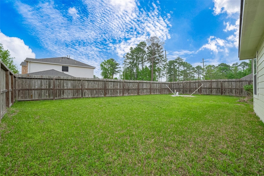1007 Casting Springs Way - Photo 42