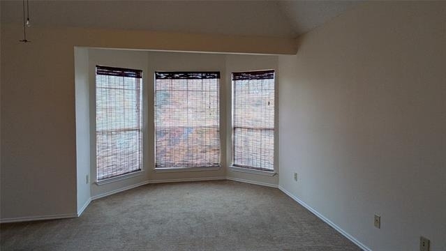 1405 Newbury Lane - Photo 17