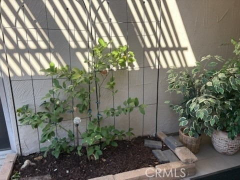 28375 Paseo Grande - Photo 25