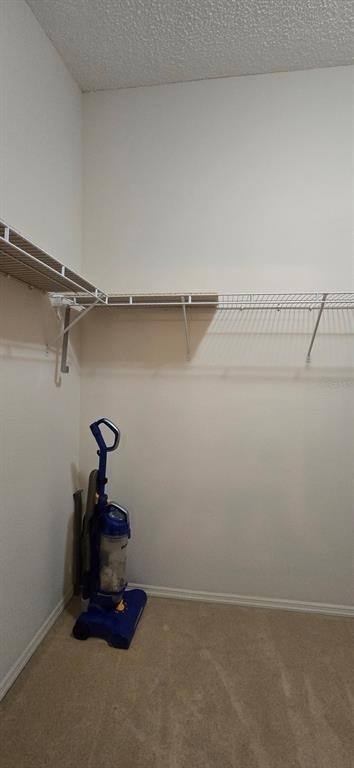3489 Cambria Circle - Photo 11