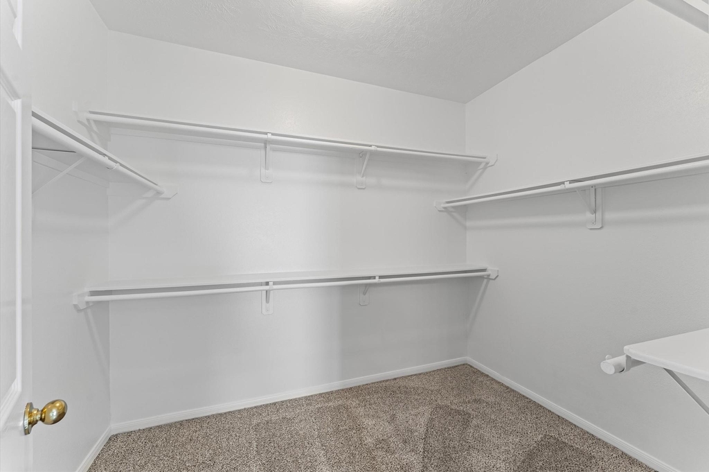 19627 Brisbane Meadows Court - Photo 13