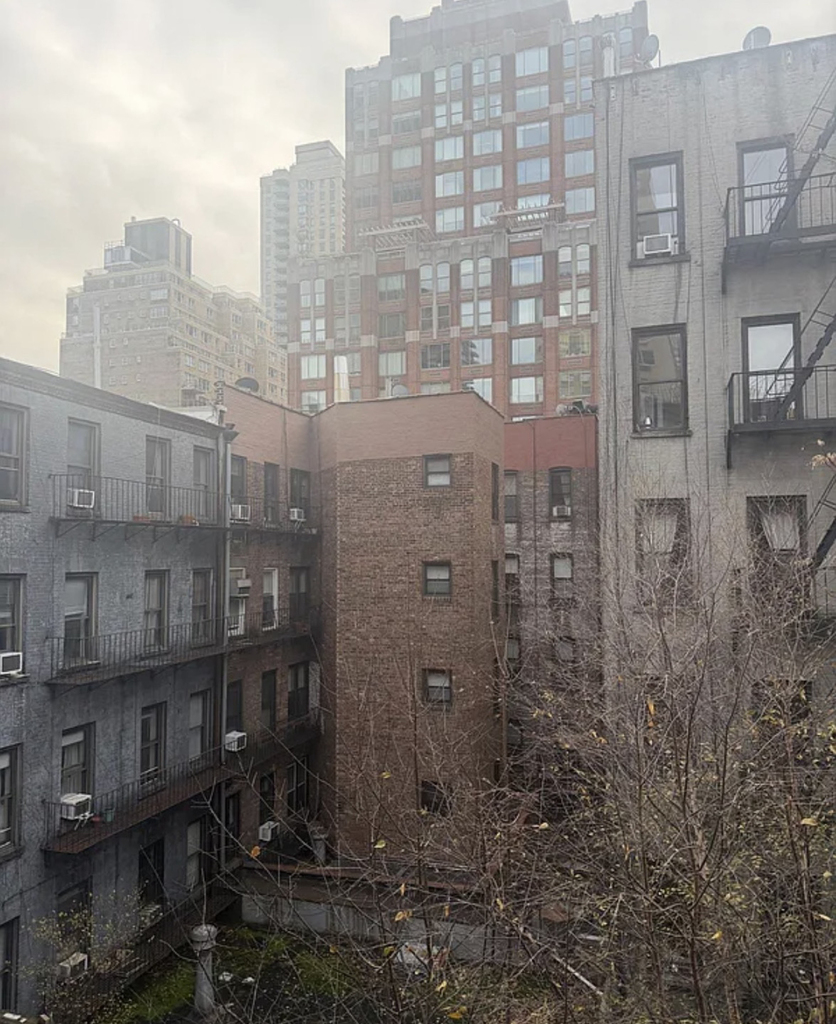 338 East 83rd Street - Photo 3