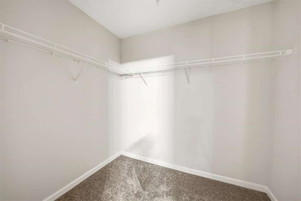 3834 Augustine Place - Photo 27