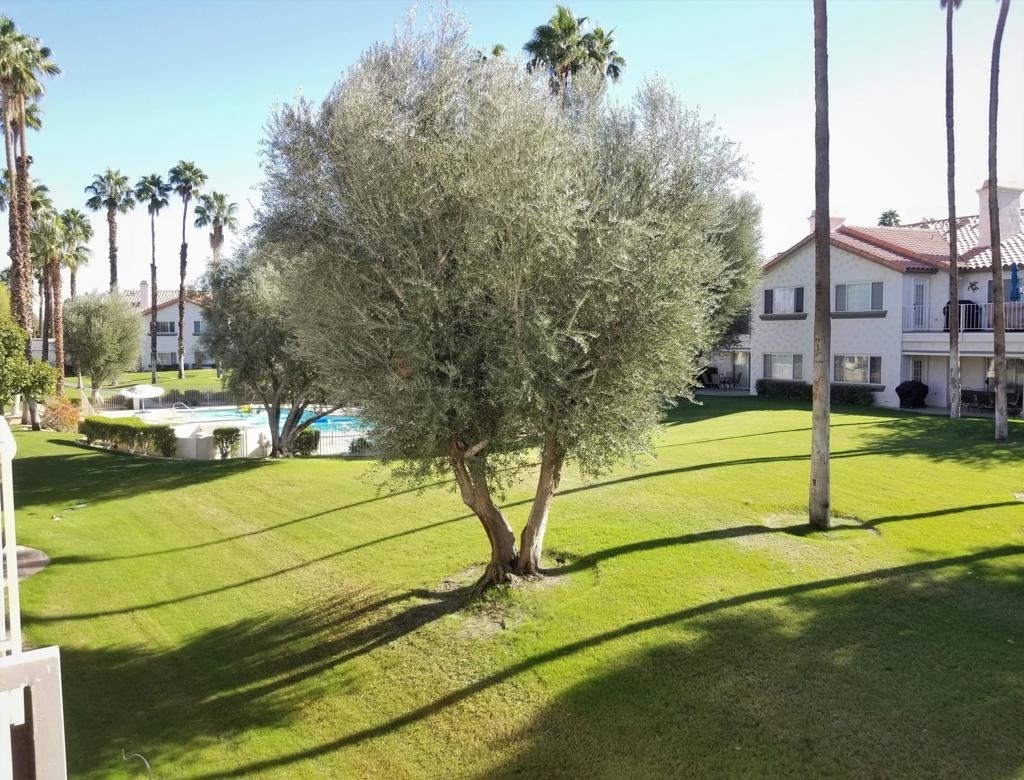 319 Vista Royale Drive - Photo 3