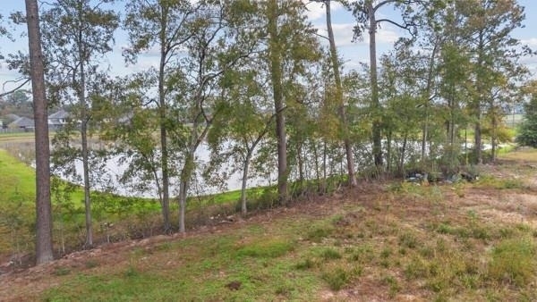21225 W Hammond Drive - Photo 4