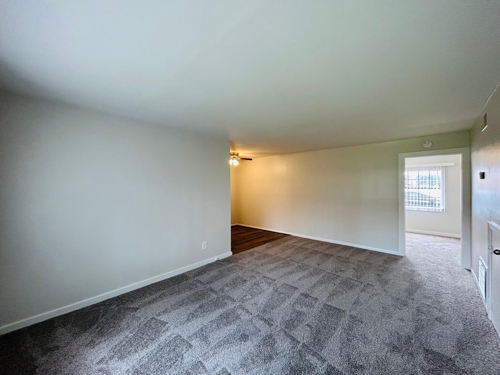 3629 N Macgregor Way - Photo 0
