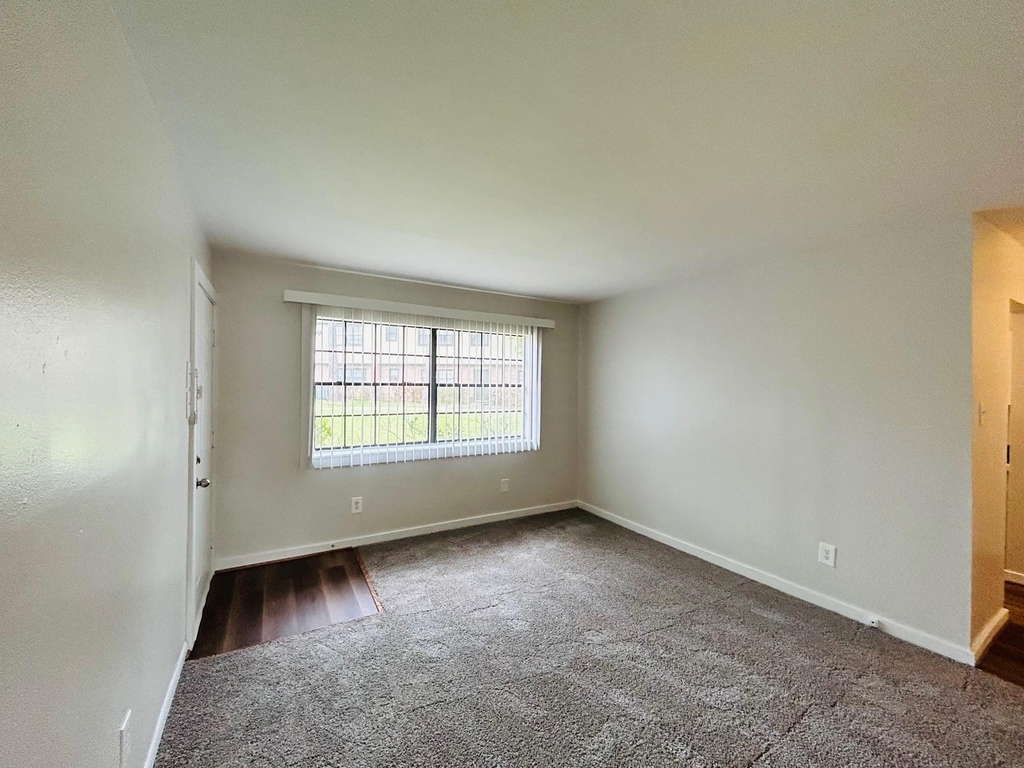3629 N Macgregor Way - Photo 1