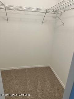 1720 Murrell Road - Photo 10