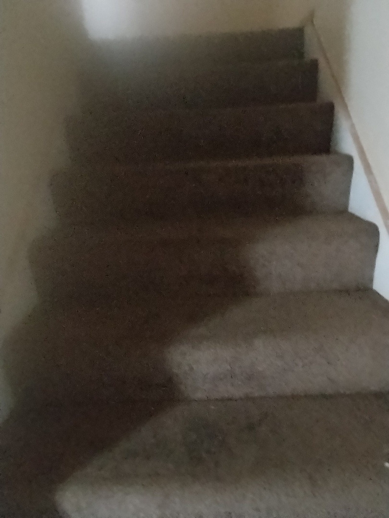 6955 S Normal Street - Photo 3