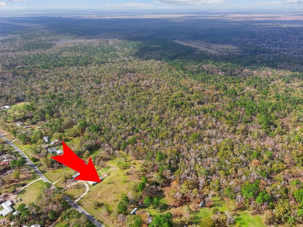 342 County Road 414 - Photo 8