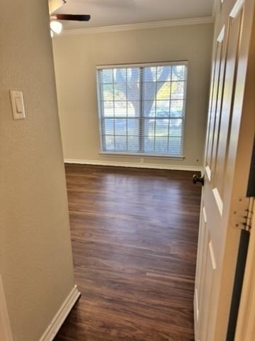 4347 Bellaire Drive S - Photo 12