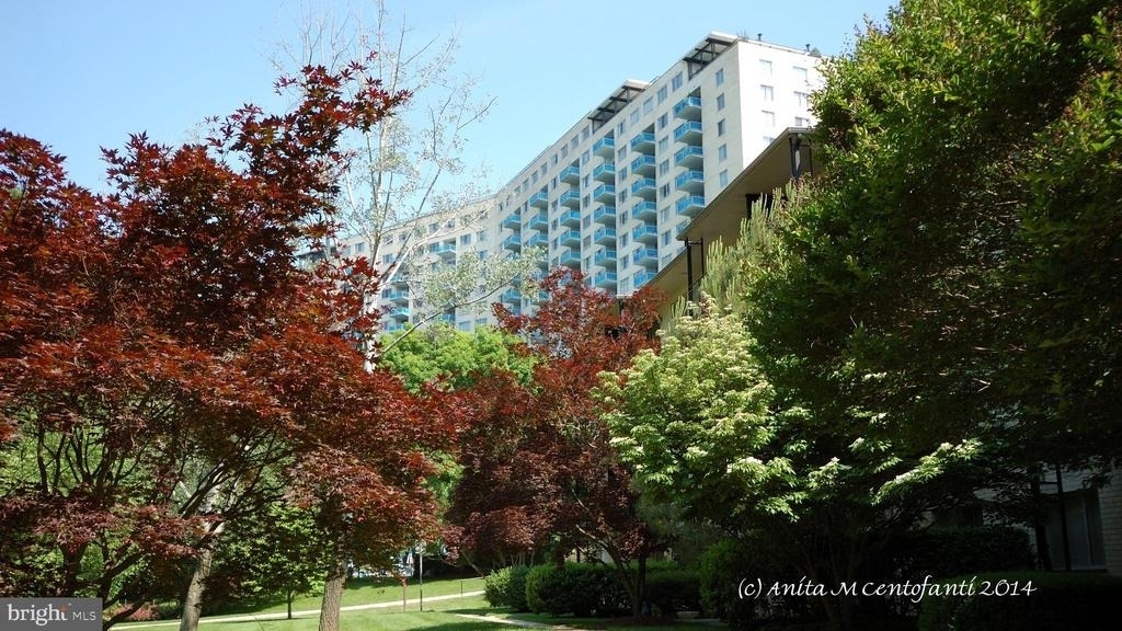10500 Rockville Pike - Photo 21