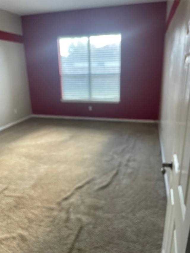 2219 Beacon Light Lane - Photo 9