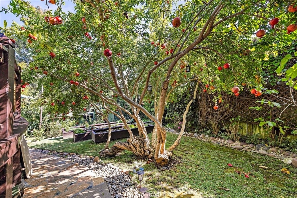 773 Saint Ann's - Photo 24