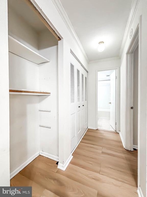 11402 Cherry Hill Road - Photo 15