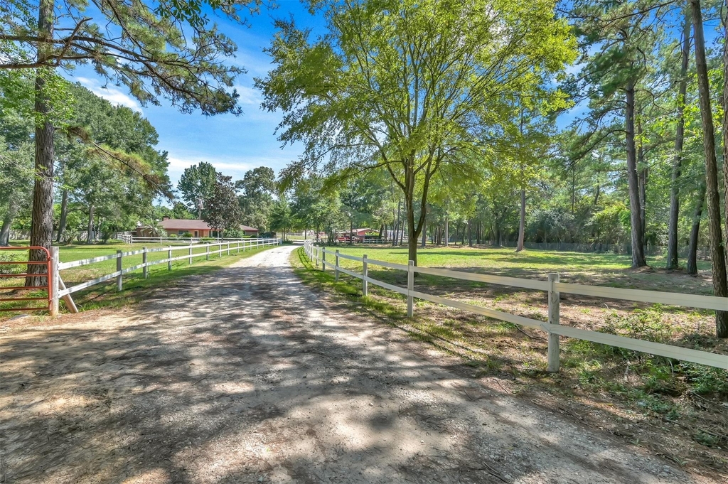 26768a Dobbin Huffsmith Rd Road - Photo 24