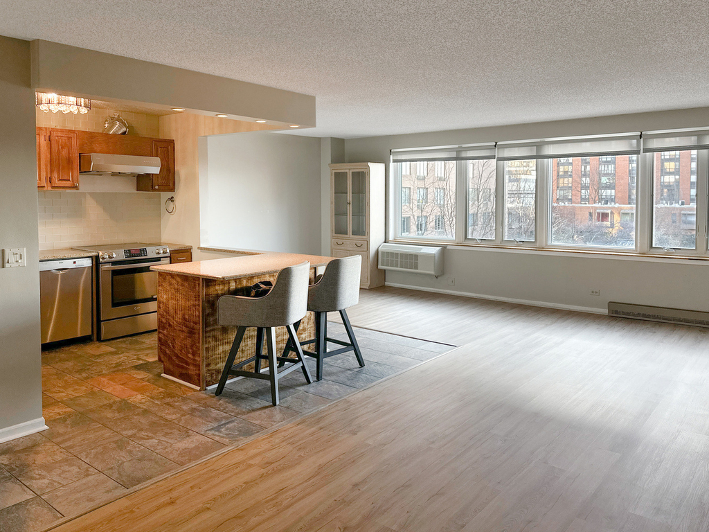 801 S Plymouth Court - Photo 1