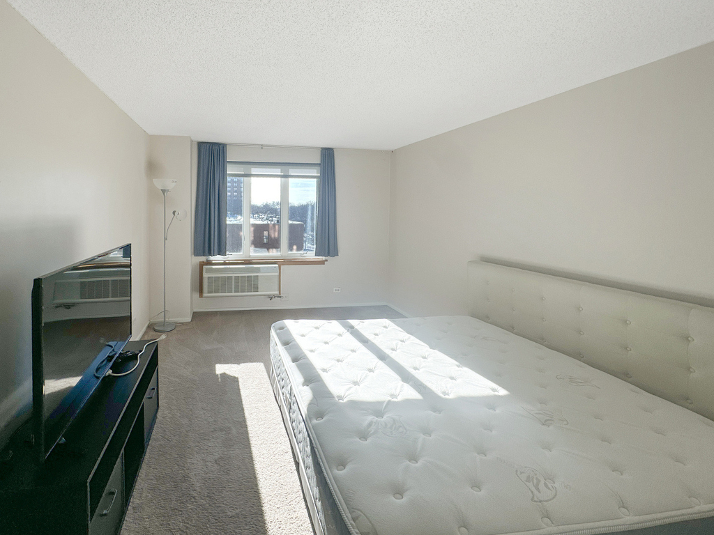 801 S Plymouth Court - Photo 13