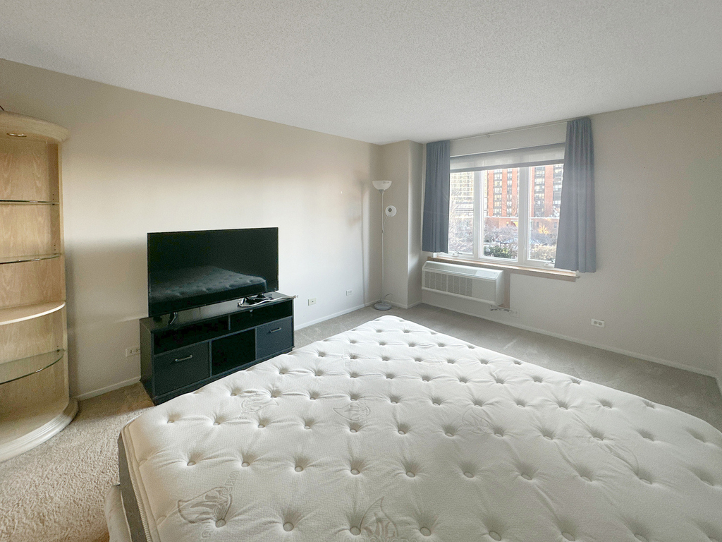 801 S Plymouth Court - Photo 12