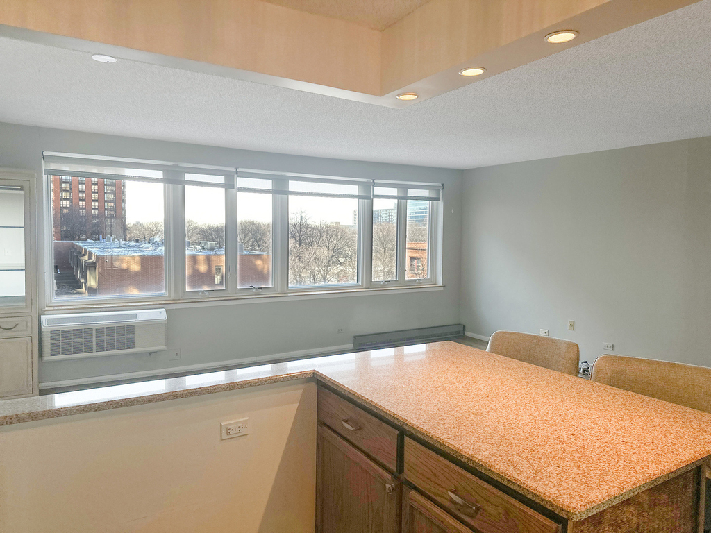 801 S Plymouth Court - Photo 8