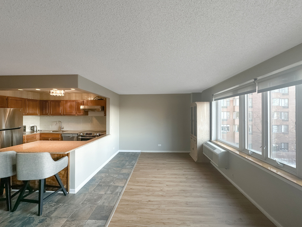 801 S Plymouth Court - Photo 6