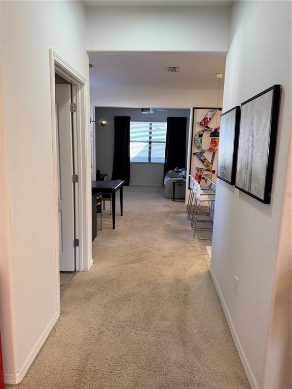 7307 Ella Lane - Photo 68