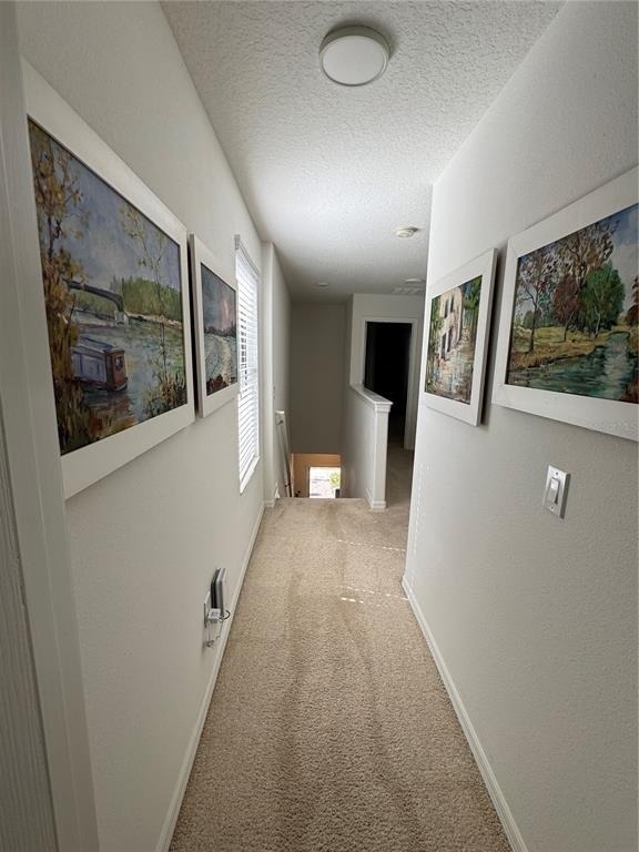 7307 Ella Lane - Photo 55