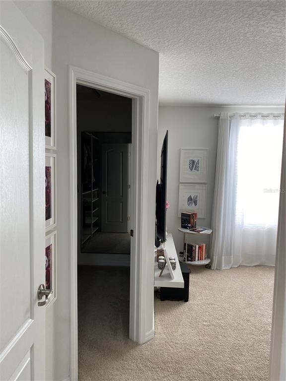 7307 Ella Lane - Photo 22