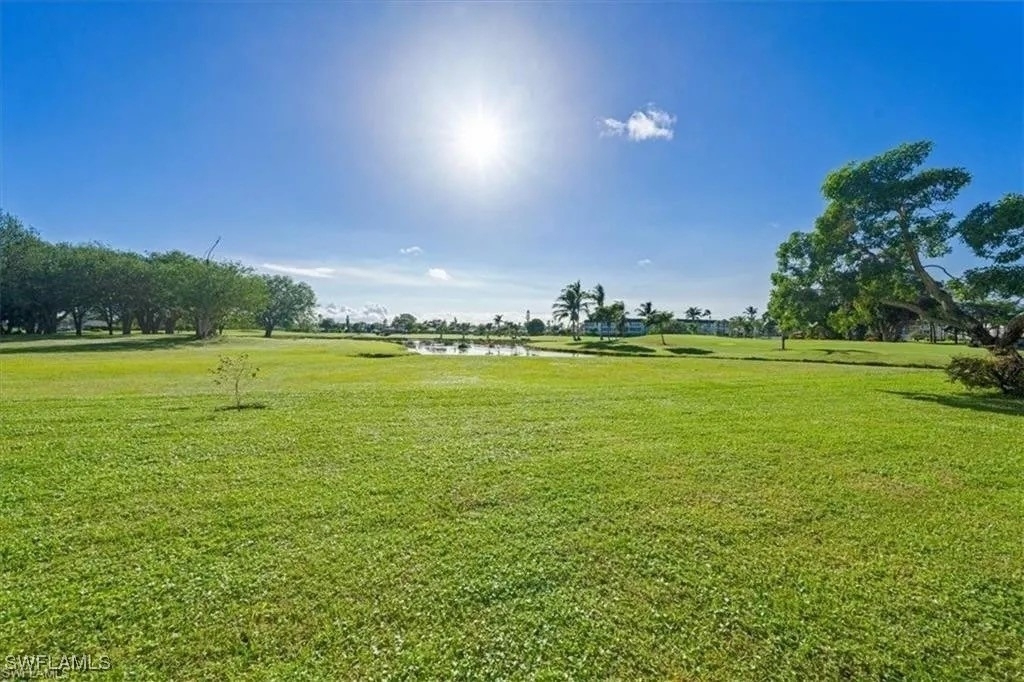 452 Bristle Cone Lane - Photo 12