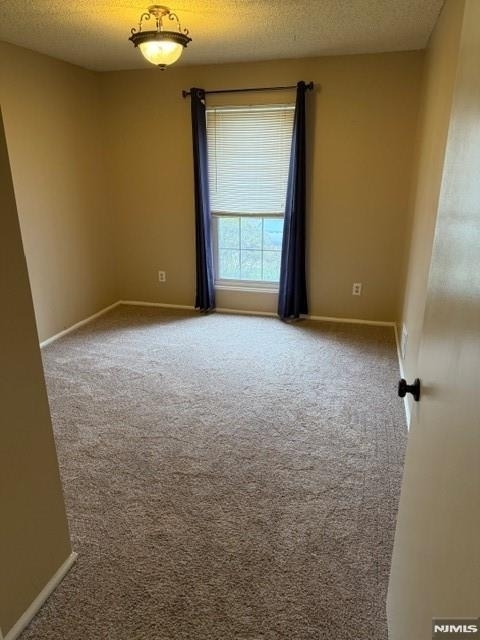 540 Holly - Photo 5