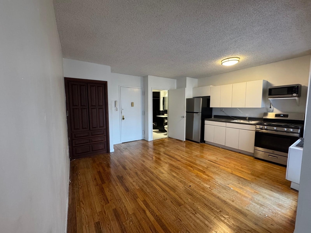 343 West 51st Street - Photo 4