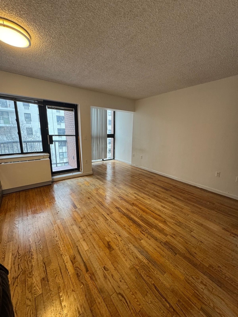343 West 51st Street - Photo 3