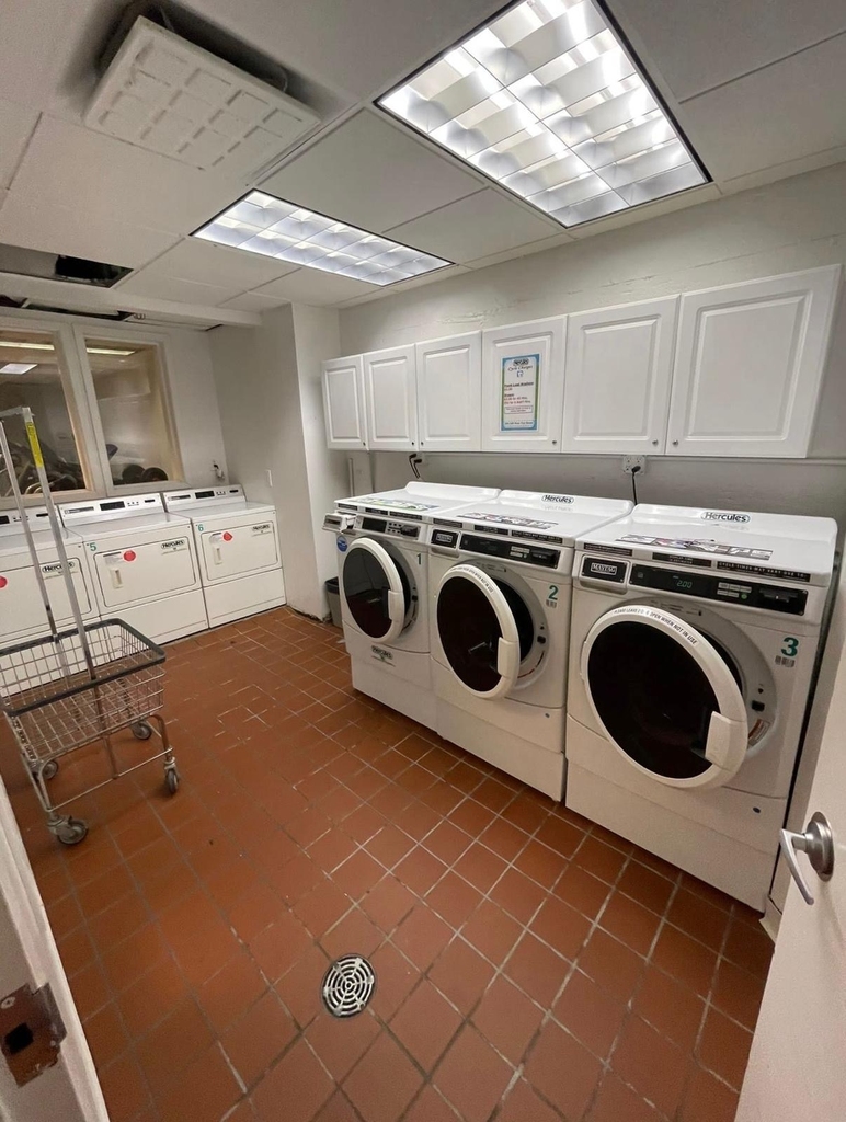 343 West 51st Street - Photo 10