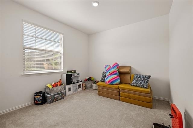 3200 Willow Terrace Lane - Photo 24