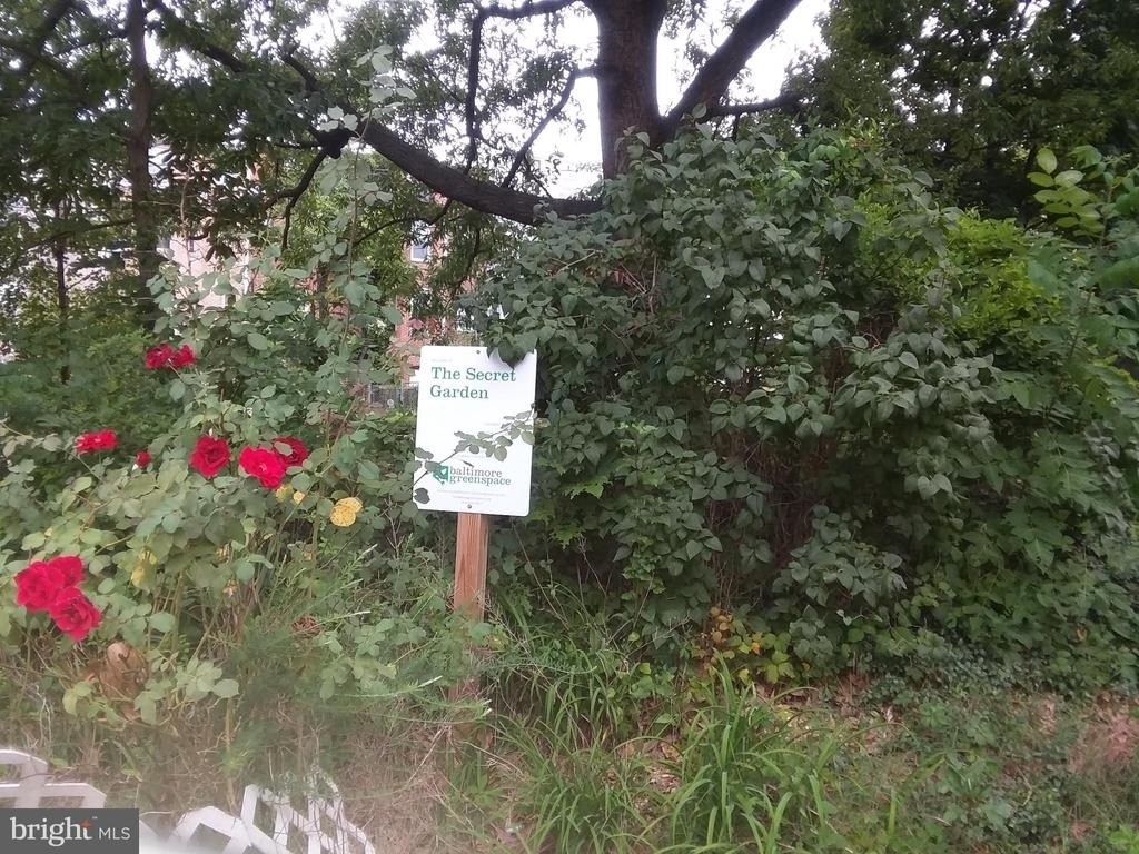 2012 Mount Royal - Photo 9