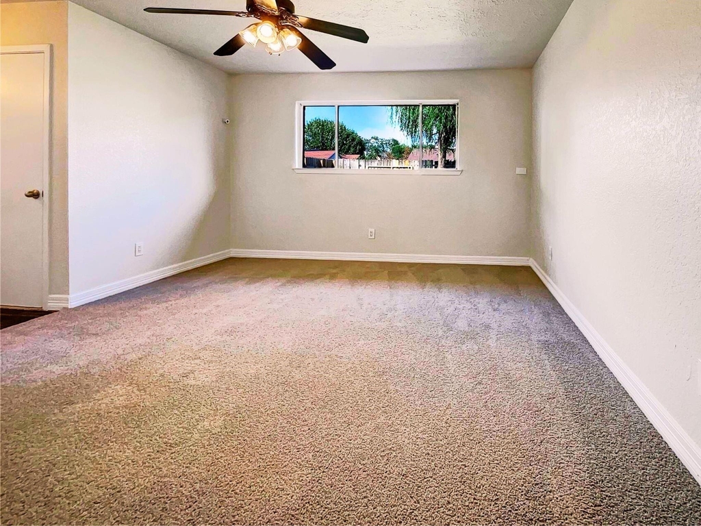 7422 Breccia Drive - Photo 8