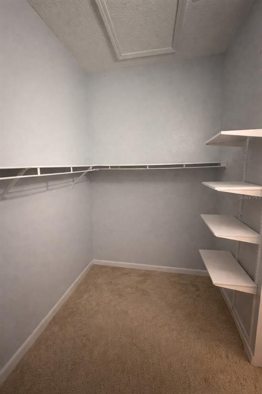 5360 Mang Place - Photo 11