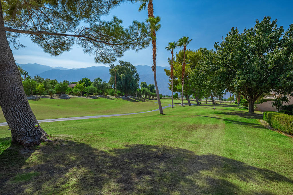 29869 W Laguna Drive - Photo 25