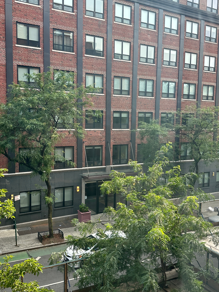 West 53rd Street - Photo 11