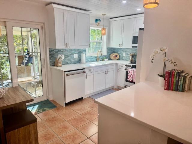 309 E Calzada De Bougainville - Photo 9