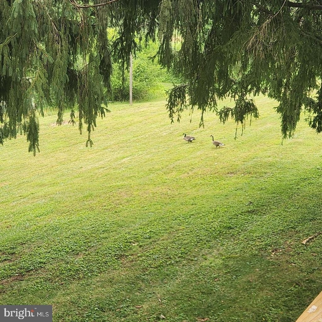 3754 Shiloh Road - Photo 16