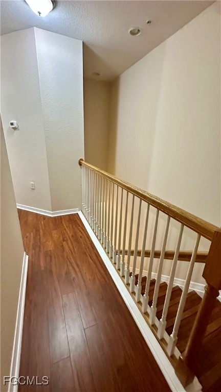 4380 Lazio Way - Photo 26