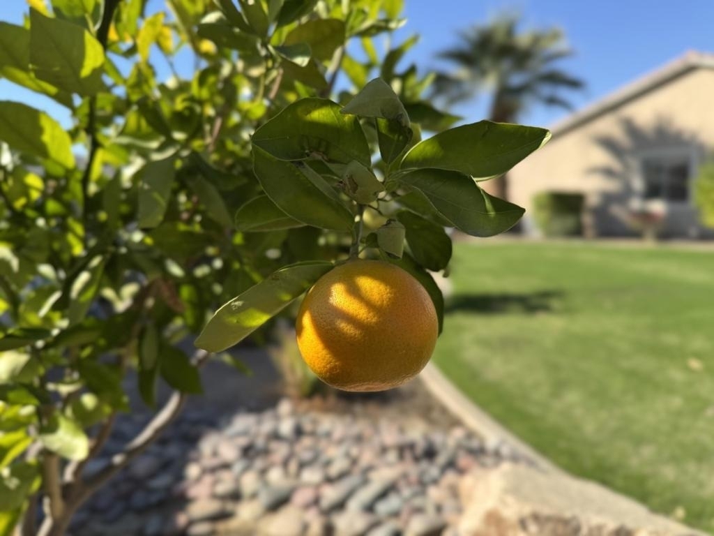 80372 Camino San Lucas - Photo 88