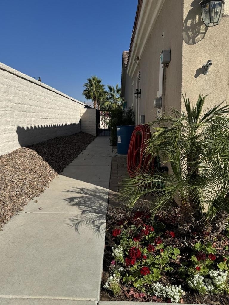80372 Camino San Lucas - Photo 63