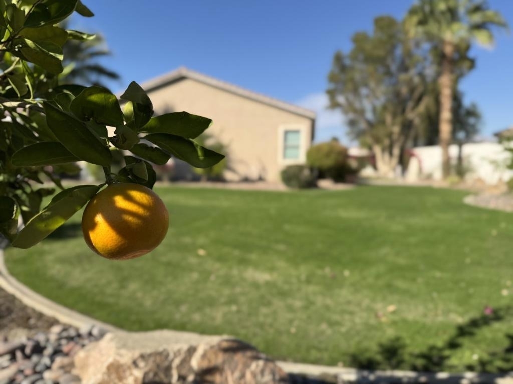 80372 Camino San Lucas - Photo 87