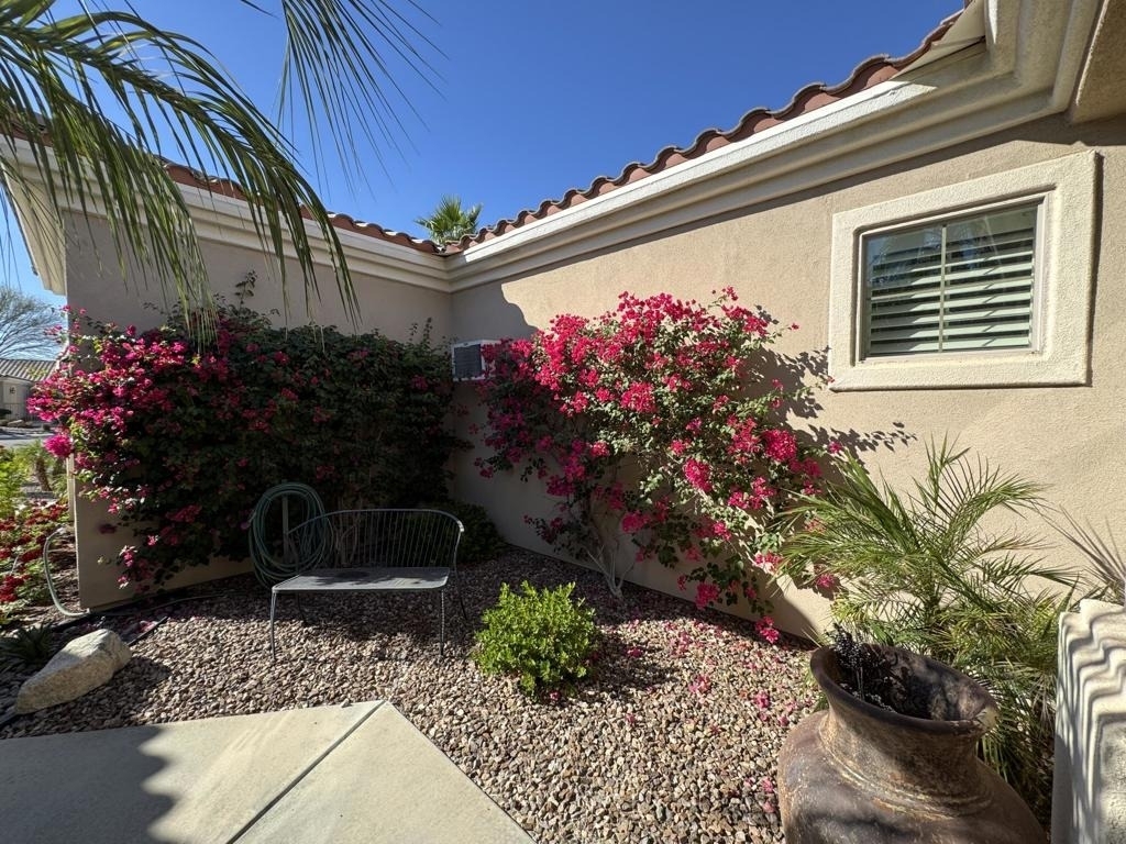 80372 Camino San Lucas - Photo 59